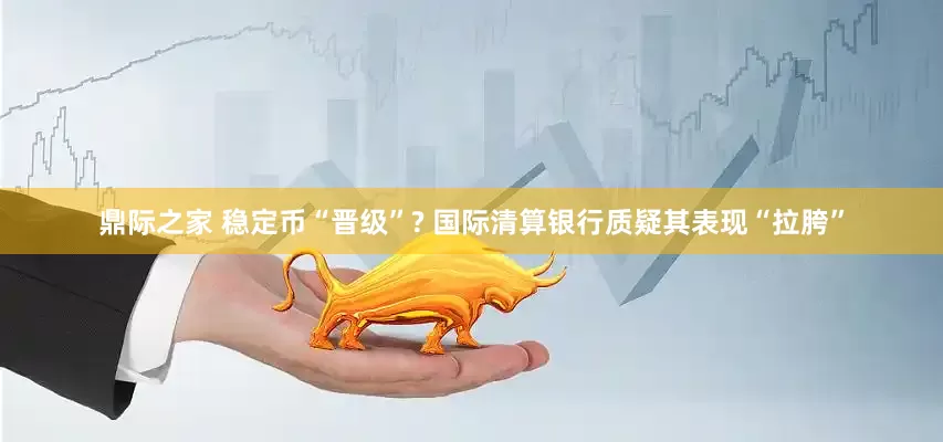 鼎际之家 稳定币“晋级”? 国际清算银行质疑其表现“拉胯”