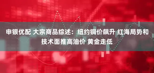 申银优配 大宗商品综述：纽约铜价飙升 红海局势和技术面推高油价 黄金走低