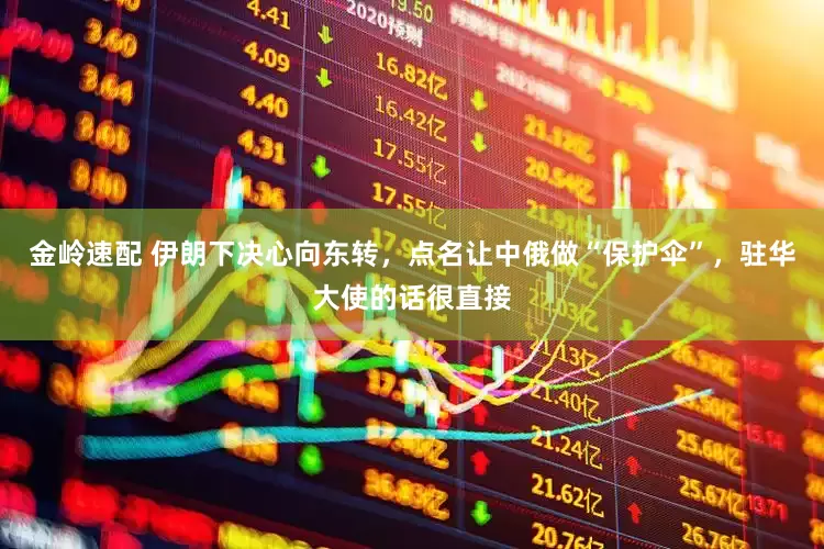 金岭速配 伊朗下决心向东转，点名让中俄做“保护伞”，驻华大使的话很直接