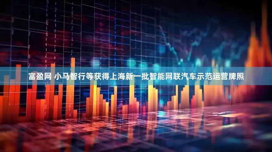 富盈网 小马智行等获得上海新一批智能网联汽车示范运营牌照