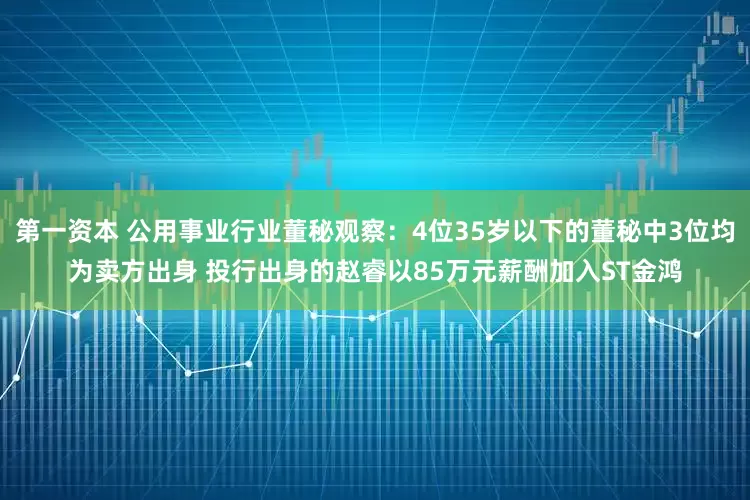 第一资本 公用事业行业董秘观察：4位35岁以下的董秘中3位均为卖方出身 投行出身的赵睿以85万元薪酬加入ST金鸿