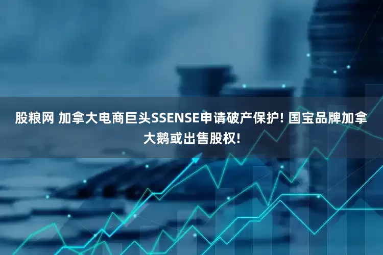 股粮网 加拿大电商巨头SSENSE申请破产保护! 国宝品牌加拿大鹅或出售股权!